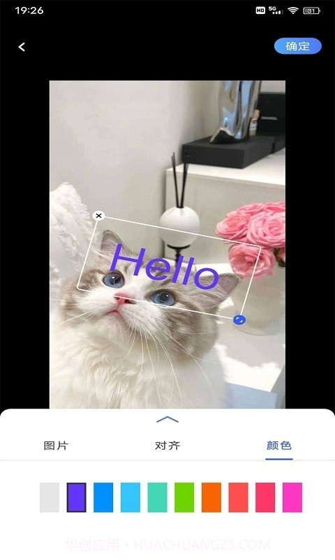 小猪翻译器截图2 小猪翻译器截图2