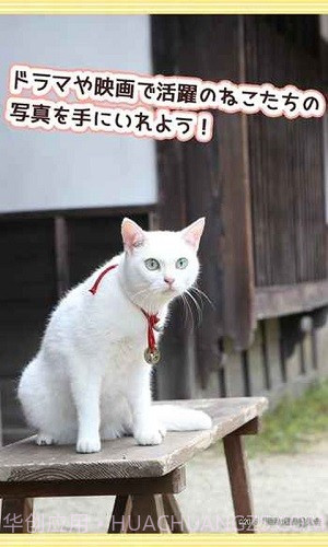 与玉之丞一起截图4 与玉之丞一起截图4