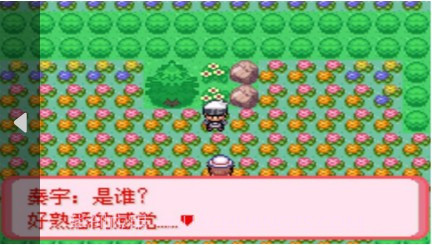 口袋妖怪 暗古神坛6.0 Another Result（悟饭）截图4