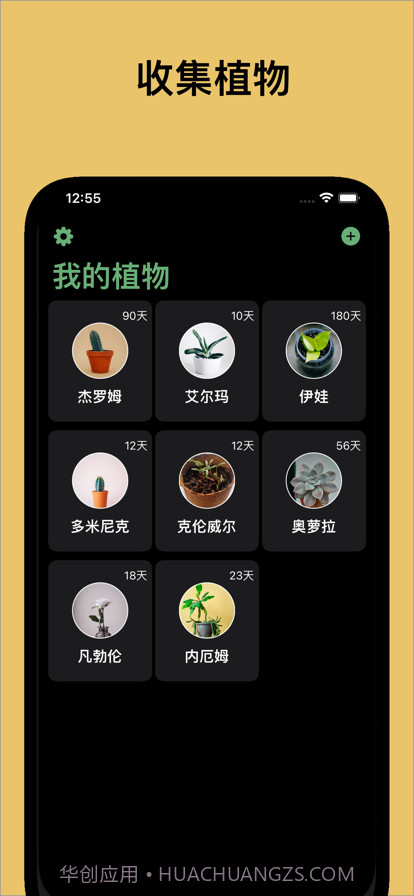 植物猎人截图4 植物猎人截图4