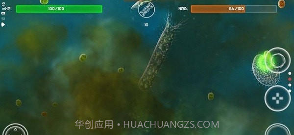 孢子的起源截图4