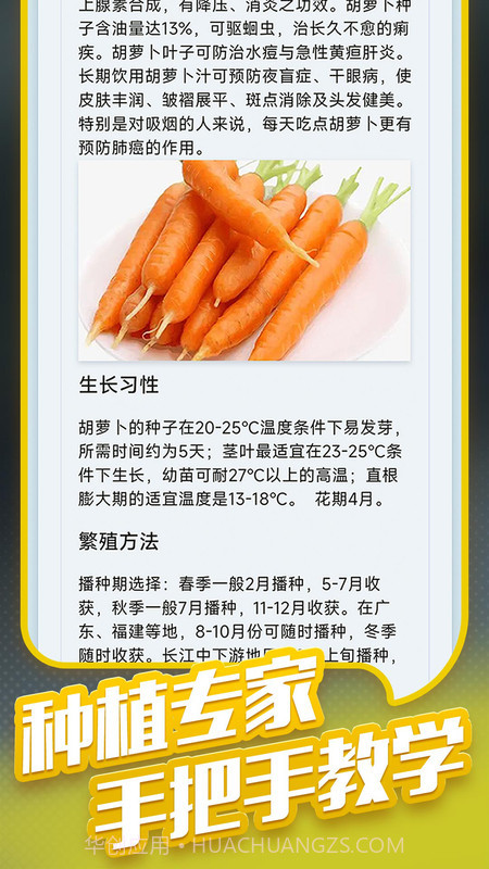 种菜专业户截图2