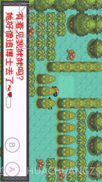 口袋妖怪暗兽神截图2 口袋妖怪暗兽神截图2