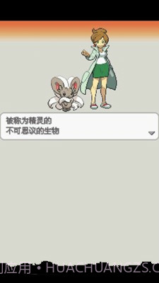 口袋妖怪：白2 649版截图2