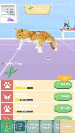 动物进化实验截图2