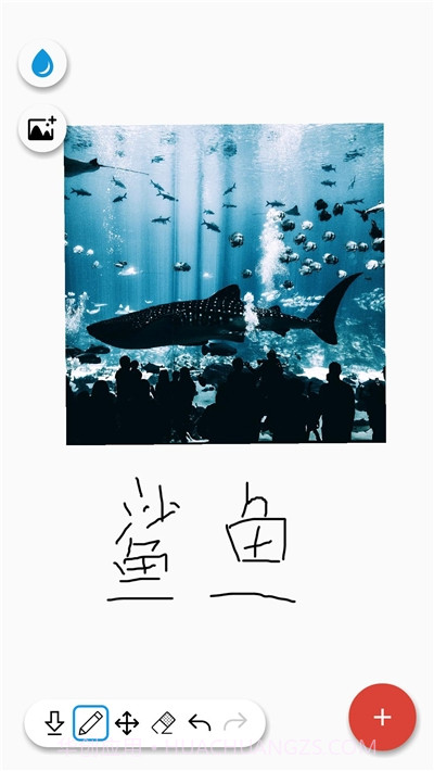 画画天才截图3 画画天才截图3