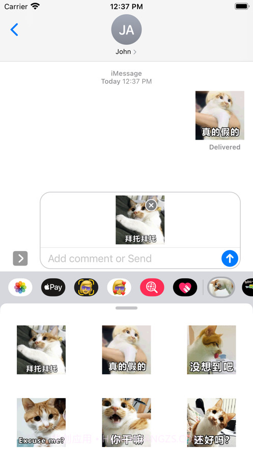 小麦的日常篇截图4