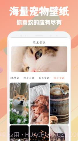 萌宠翻译器截图3 萌宠翻译器截图3