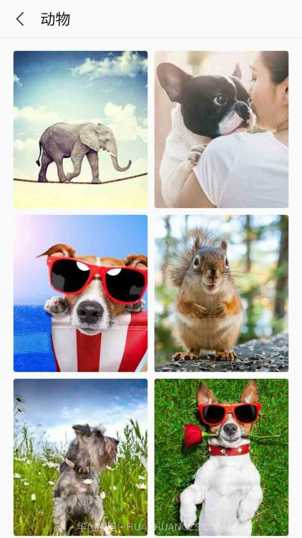 芒果壁纸截图2 芒果壁纸截图2