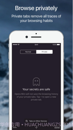 Opera Mini网页浏览器截图4