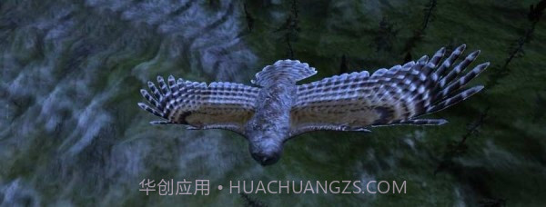 猫头鹰狩猎之旅截图1