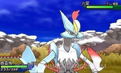 口袋妖怪究极之月9云游戏截图2 口袋妖怪究极之月9云游戏截图2