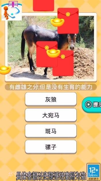 曲棍球高手截图3 曲棍球高手截图3