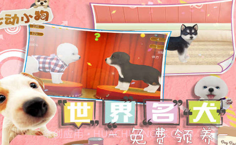 我的心动小狗截图3 我的心动小狗截图3