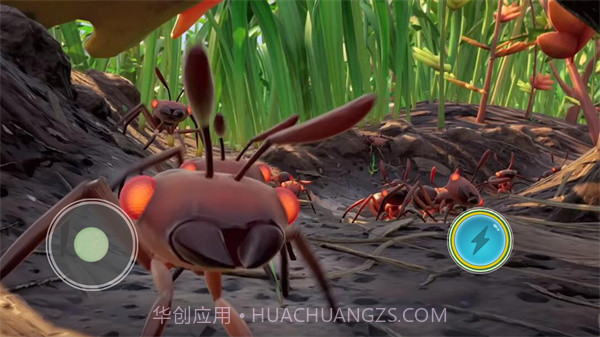 变异国度后院求生截图1 变异国度后院求生截图1