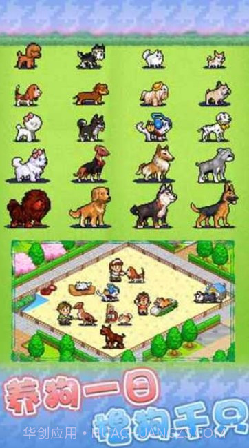 发现狗狗乐园游戏截图3