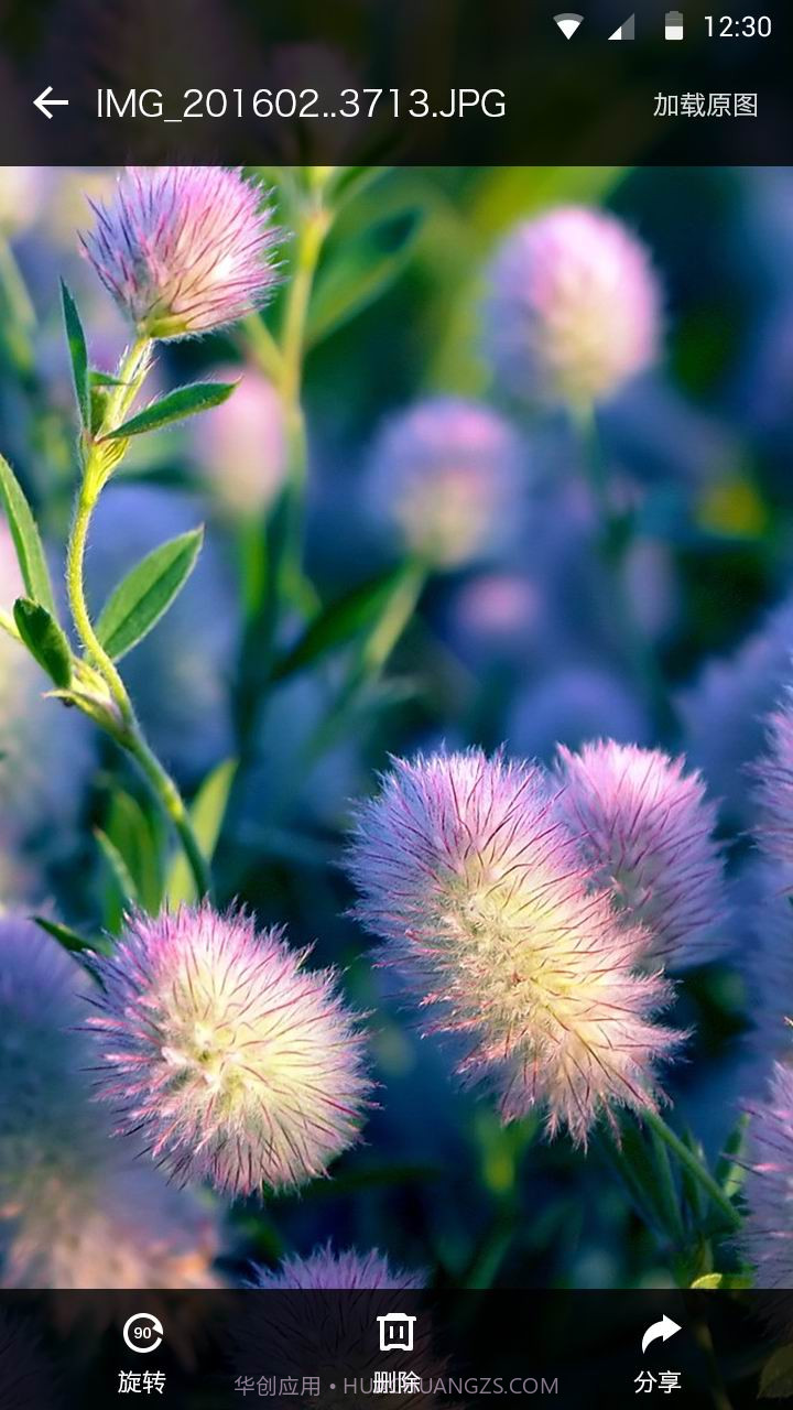 无限相册截图2 无限相册截图2