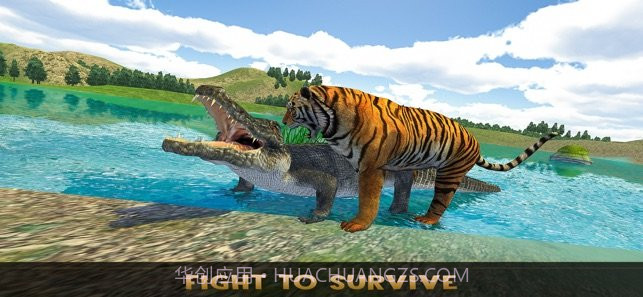 the lion family截图2 the lion family截图2