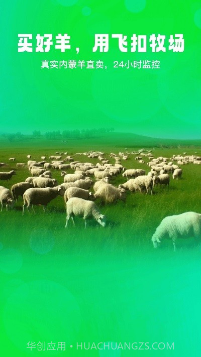 飞扣牧场截图4