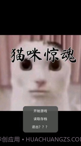 猫猫惊魂截图3