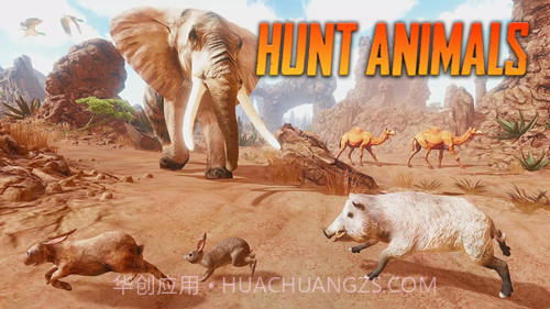 野猪模拟器2截图3 野猪模拟器2截图3