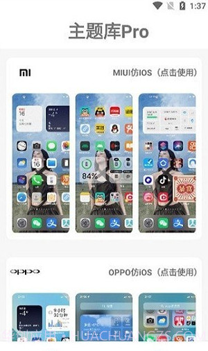主题库pro安装包截图1