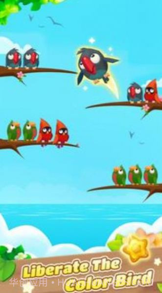 彩色鸟排序截图2 彩色鸟排序截图2