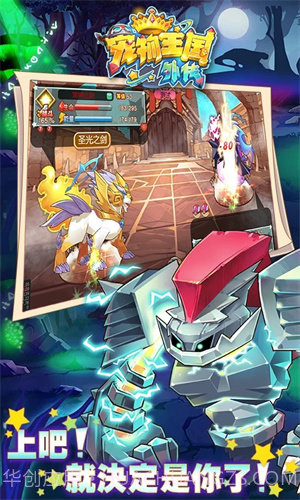 宠物王国外传全部宠物满级版截图3 宠物王国外传全部宠物满级版截图3