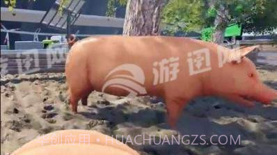 自己是一只猪截图2