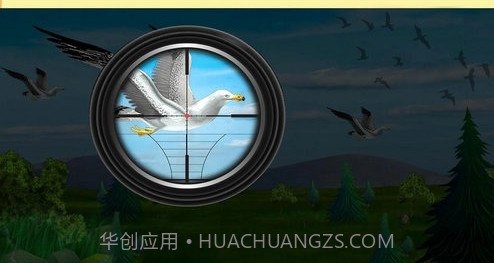 猎鸟大师截图1