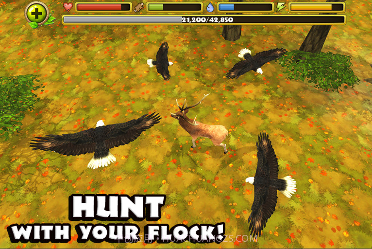 老鹰模拟器2截图3 老鹰模拟器2截图3