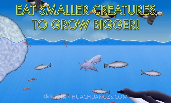 美味海洋2联机版截图3 美味海洋2联机版截图3