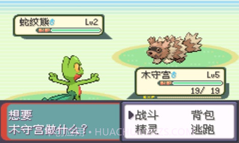 口袋妖怪:超级绿宝石8.0(悟饭)截图3 口袋妖怪:超级绿宝石8.0(悟饭)截图3