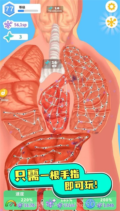 人体测试人体细胞连接截图1 人体测试人体细胞连接截图1