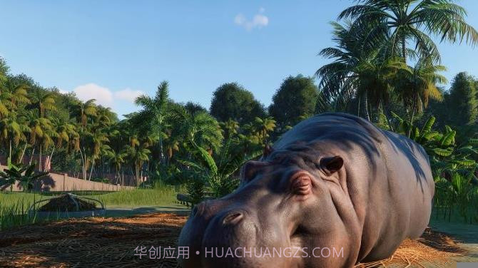 动物园之星免费截图6