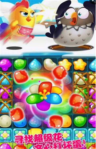 小鸡爆破3截图3