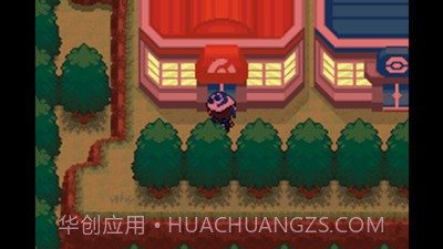 口袋妖怪失落的三国截图2