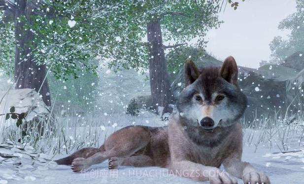 动物园之星免费截图5