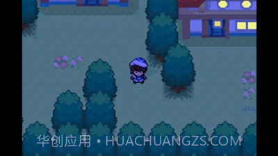 口袋妖怪失落的三国截图1