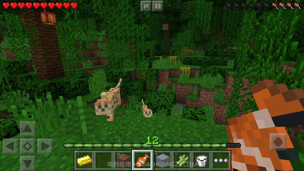 我的世界1.11.0.10国际版截图2