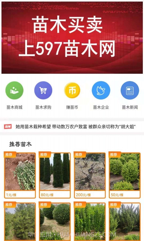 597苗木网截图3