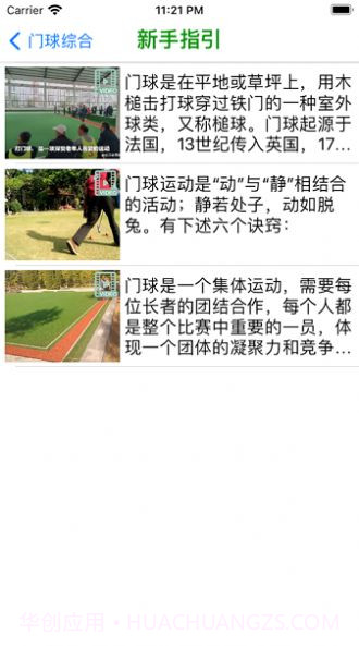 夕阳汇门球截图1