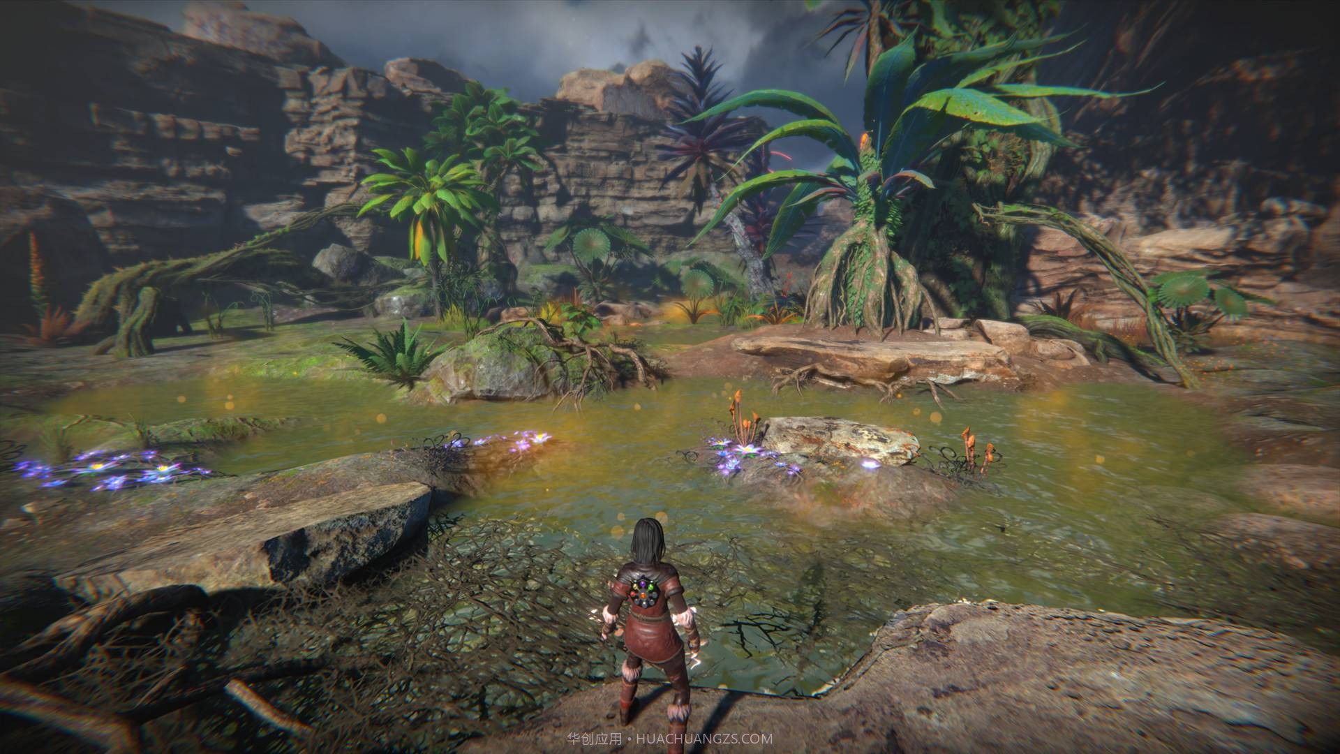 生命之种Seed of Life截图1 生命之种Seed of Life截图1