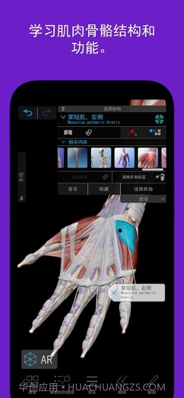 人体解剖学图谱截图2