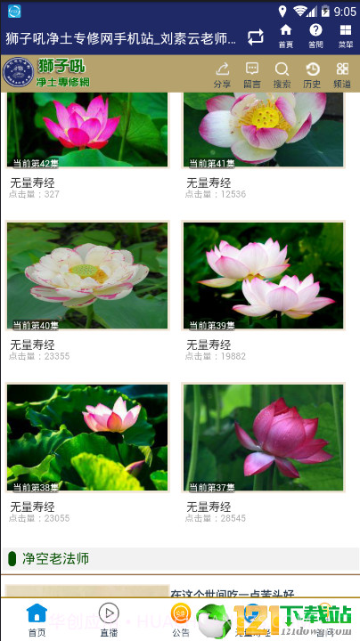 狮子吼净土网截图1 狮子吼净土网截图1