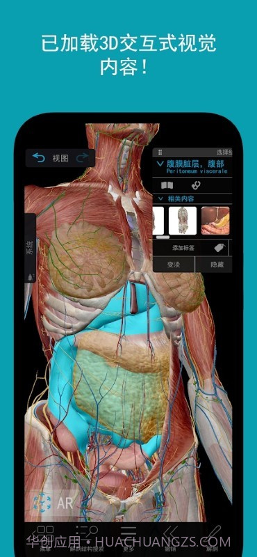 人体解剖学图谱截图3