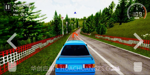 最终拉力赛截图3