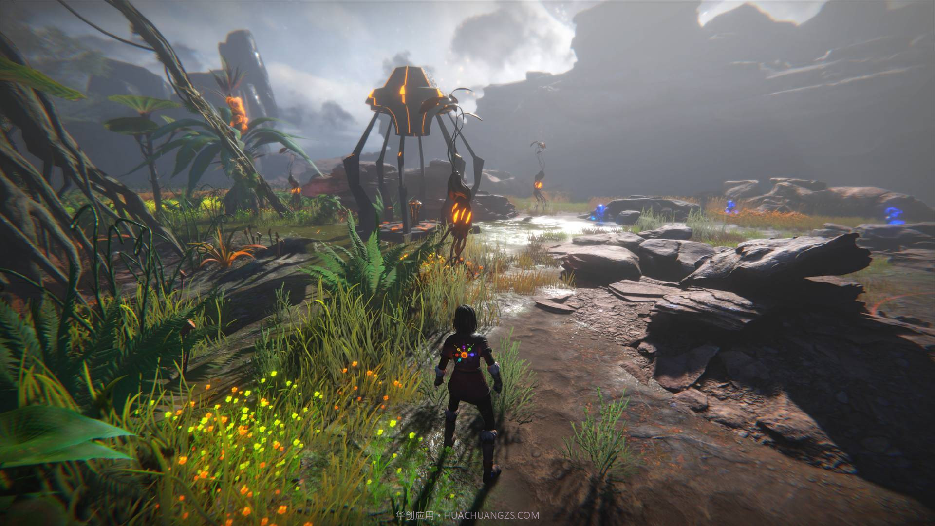 生命之种Seed of Life截图6 生命之种Seed of Life截图6