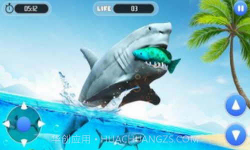 白鲨攻击任务3D截图1 白鲨攻击任务3D截图1