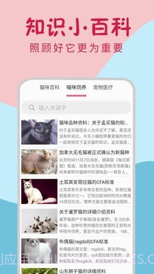 小猫翻译器截图3 小猫翻译器截图3